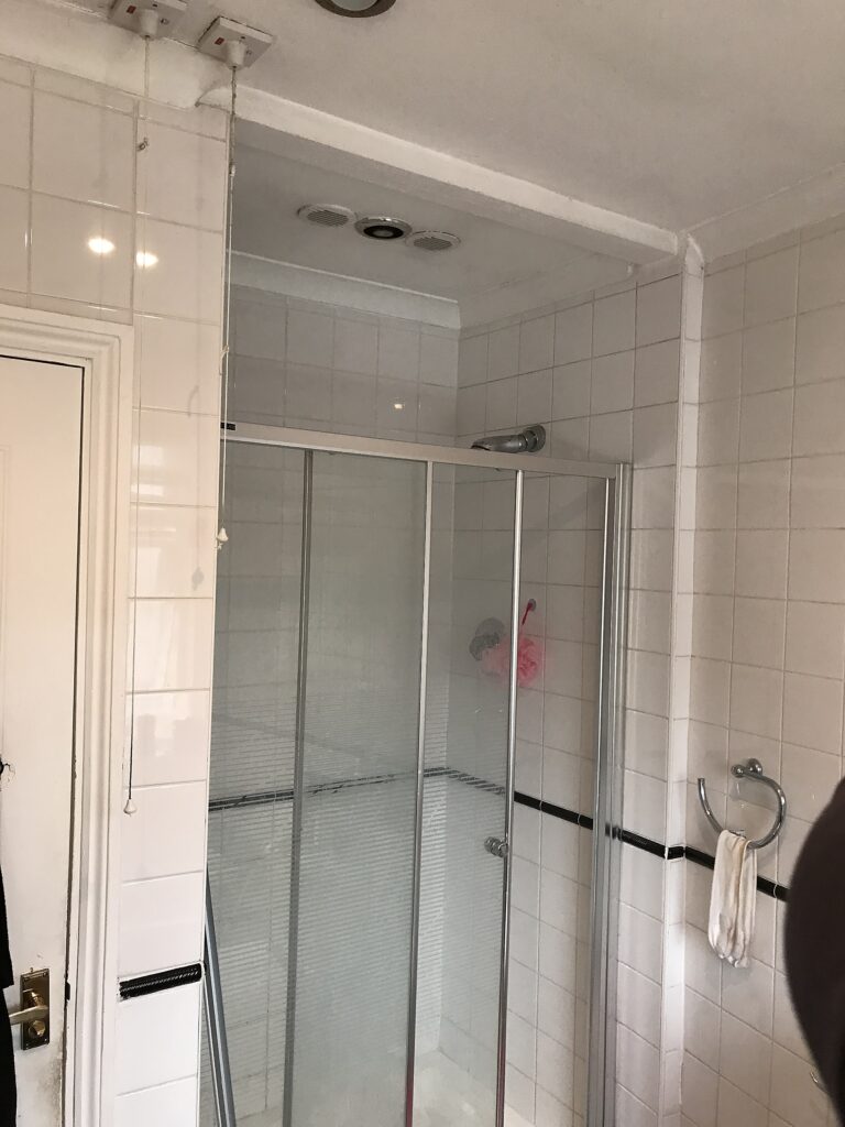 Bathroom refurb — original shower